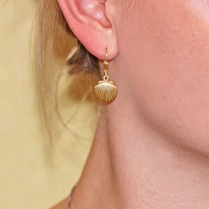 Vergoldete Ohrringe 29 mm Muschel Echt Silber 925 vergoldet