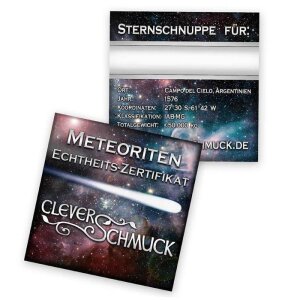 Anh&auml;nger Meteorit ECHTE STERNSCHNUPPE mit 925er Silber-Schlaufe